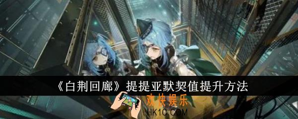 白荆回廊提提亚默契值怎么提升