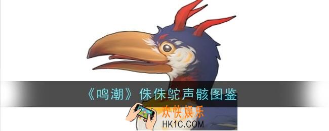 鸣潮侏侏鸵声骸怎么样