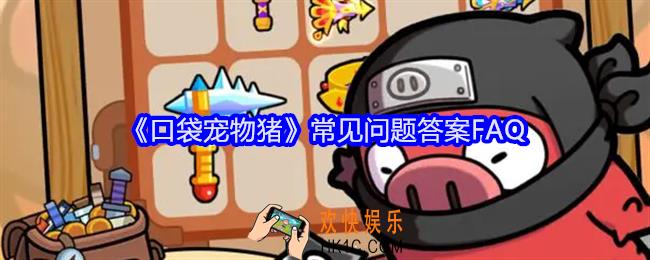 口袋宠物猪常见问题答案FAQ