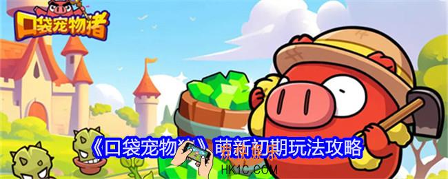 口袋宠物猪萌新初期玩法攻略