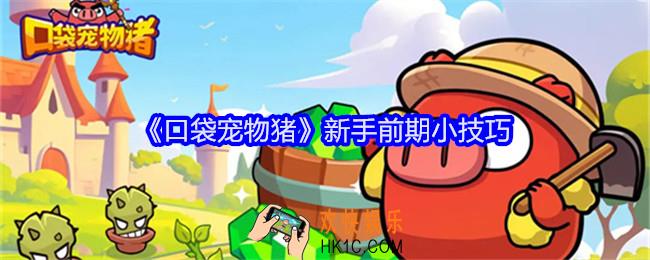 口袋宠物猪新手怎么玩