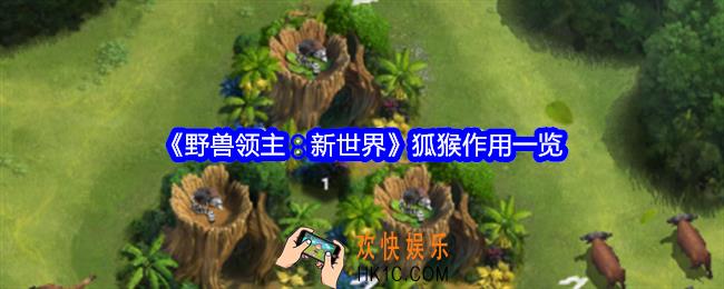 野兽领主新世界狐猴有什么用