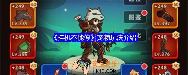 挂机不能停宠物怎么抽