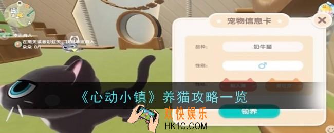 心动小镇怎么养猫