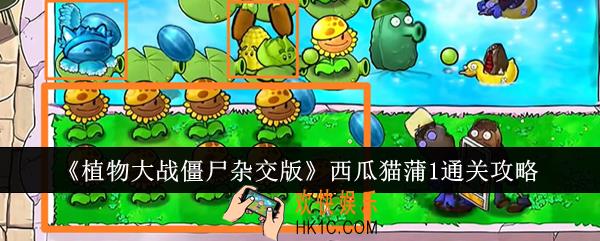 植物大战僵尸杂交版西瓜猫蒲1怎么通关