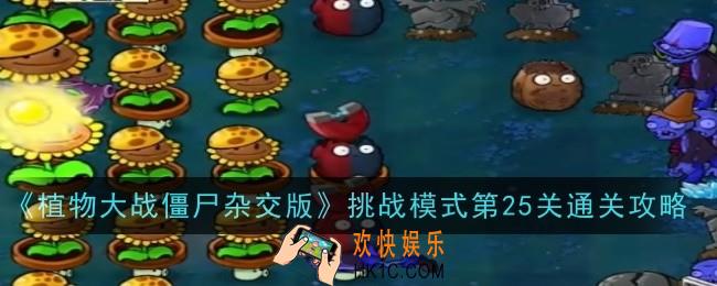 植物大战僵尸杂交版挑战模式第25关怎么通关