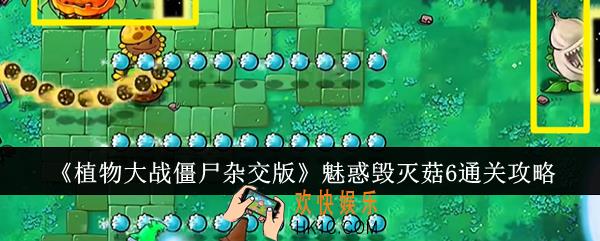 植物大战僵尸杂交版魅惑毁灭菇6怎么通关