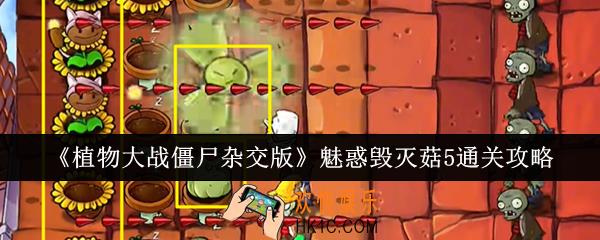 植物大战僵尸杂交版魅惑毁灭菇5怎么通关