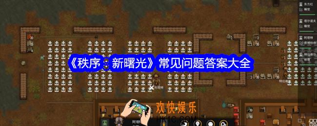 秩序新曙光常见问题答案是什么