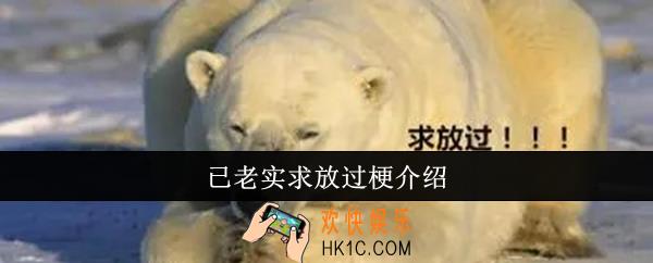 已老实求放过梗是什么意思