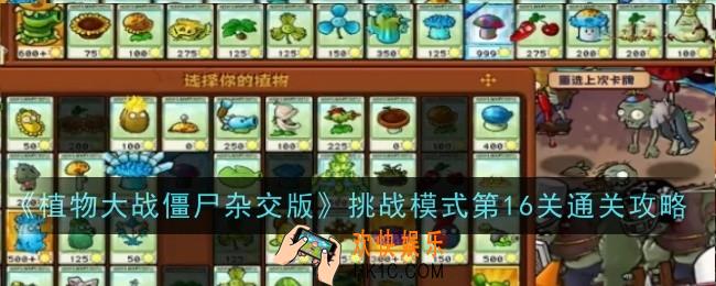 植物大战僵尸杂交版挑战模式第16关怎么玩