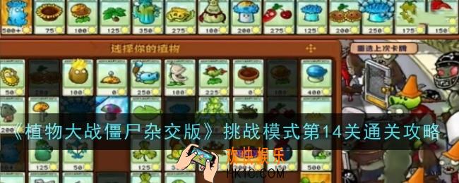 植物大战僵尸杂交版挑战模式第14关怎么玩