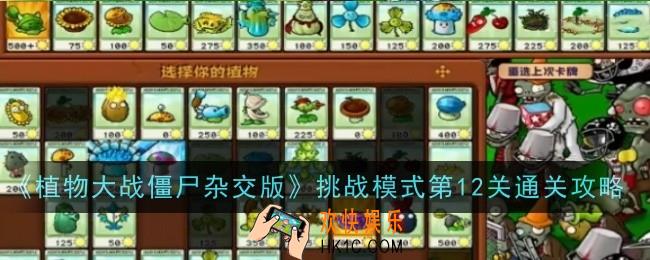 植物大战僵尸杂交版挑战模式第12关怎么通关
