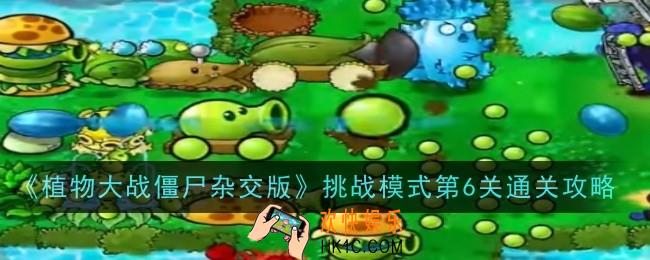 植物大战僵尸杂交版挑战模式第6关怎么样