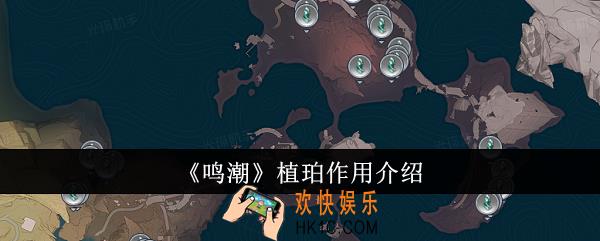 鸣潮植珀有什么用