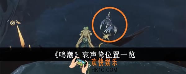 鸣潮哀声鸷在哪里