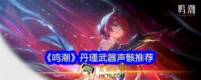 鸣潮丹瑾武器声骸用什么