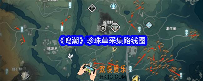 鸣潮珍珠草在哪采集