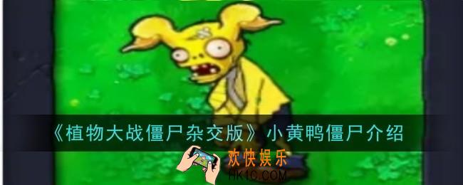 植物大战僵尸杂交版小黄鸭僵尸怎么样