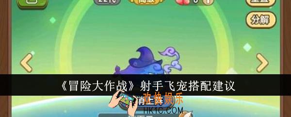 冒险大作战射手飞宠怎么搭配