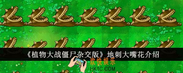 植物大战僵尸杂交版地刺大嘴花怎么样