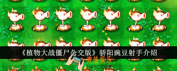 植物大战僵尸杂交版骄阳豌豆射手怎么样