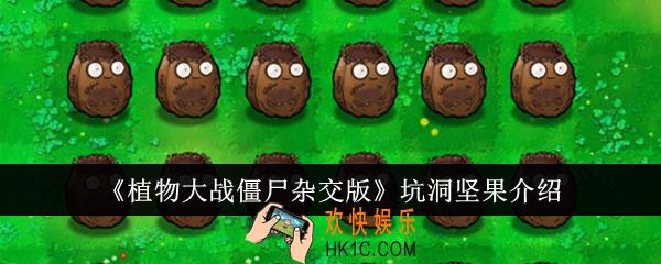 植物大战僵尸杂交版坑洞坚果怎么样