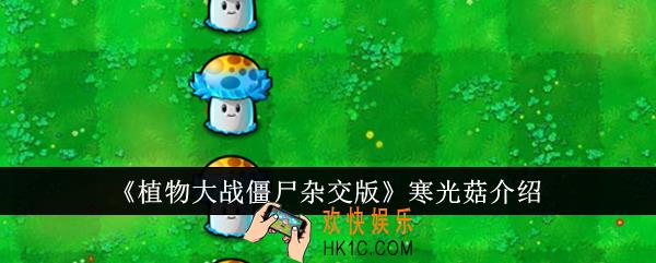 植物大战僵尸杂交版寒光菇怎么样
