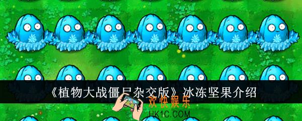 植物大战僵尸杂交版冰冻坚果怎么样