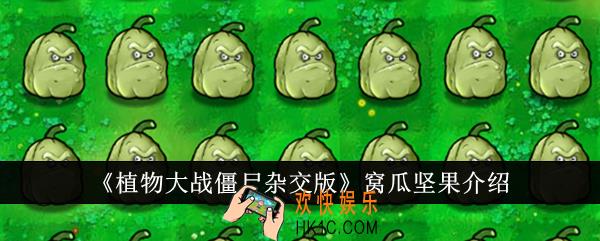 植物大战僵尸杂交版窝瓜坚果怎么样