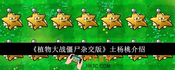植物大战僵尸杂交版土杨桃怎么样