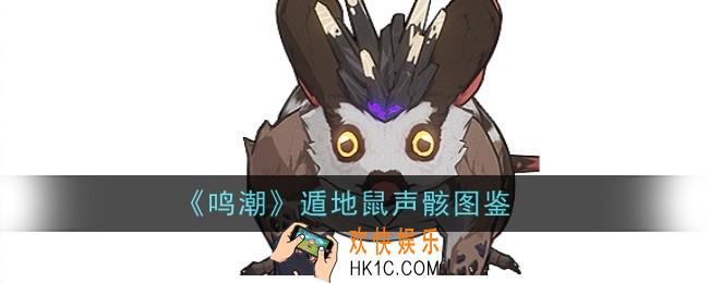 鸣潮遁地鼠声骸怎么样