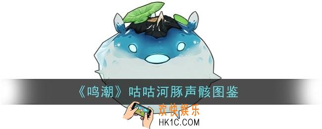 鸣潮咕咕河豚声骸怎么样