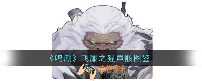 鸣潮飞廉之猩声骸怎么样