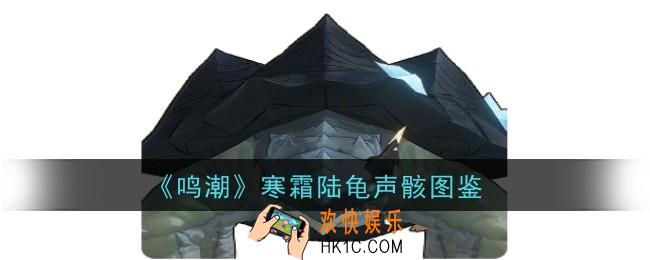 鸣潮寒霜陆龟声骸怎么样