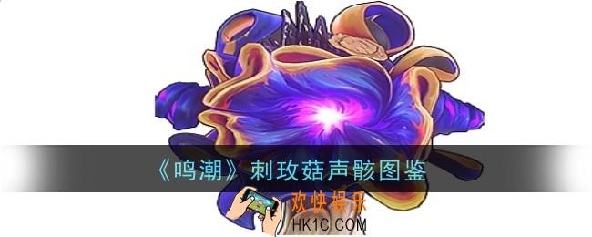 鸣潮刺玫菇声骸怎么样