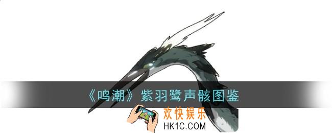 鸣潮紫羽鹭声骸怎么样