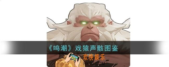 鸣潮戏猿声骸怎么样