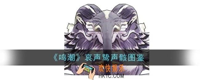 鸣潮哀声鸷声骸怎么样