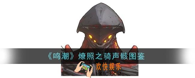 鸣潮燎照之骑声骸怎么样