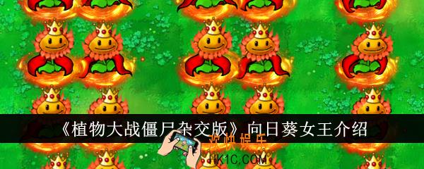 植物大战僵尸杂交版向日葵女王怎么样