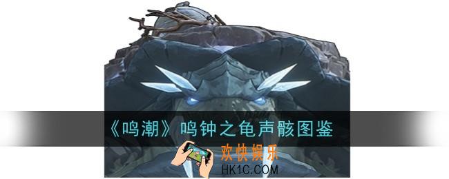 鸣潮鸣钟之龟声骸怎么样