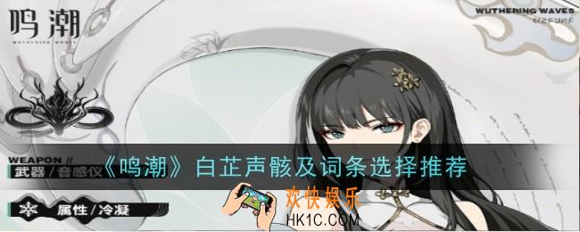 鸣潮白芷声骸及词条选择推荐什么