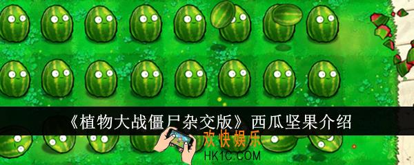 植物大战僵尸杂交版西瓜坚果怎么样