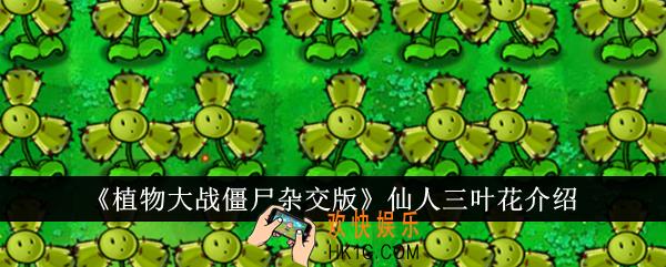 植物大战僵尸杂交版仙人三叶花怎么样