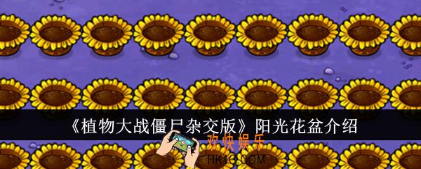 植物大战僵尸杂交版阳光花盆怎么样