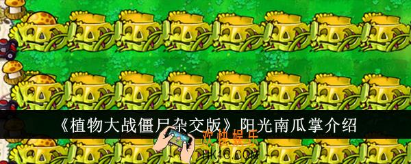 植物大战僵尸杂交版阳光南瓜掌怎么样