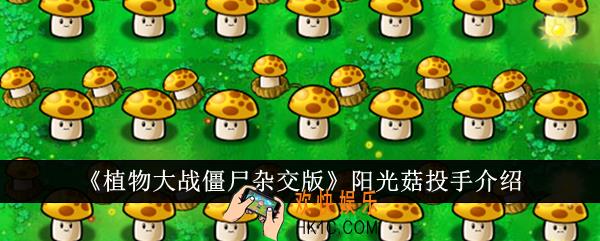 植物大战僵尸杂交版阳光菇投手怎么样