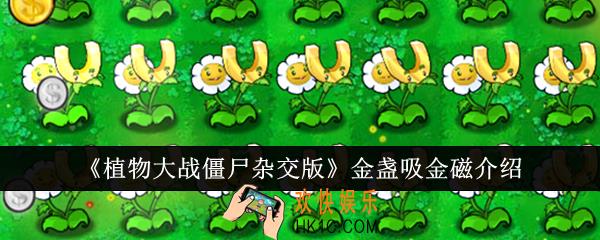 植物大战僵尸杂交版金盏吸金磁怎么样