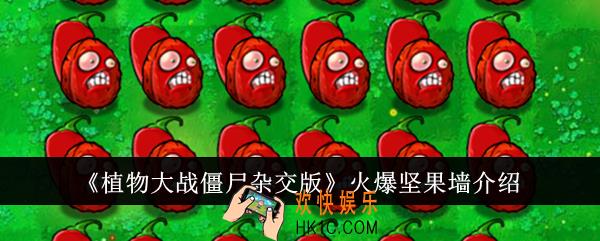 植物大战僵尸杂交版火爆坚果墙怎么样